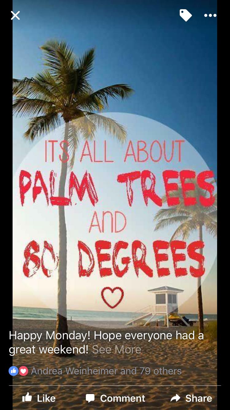 sign saying it's all about trees and 80 degrees